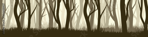 Wild forest with various coniferous or deciduous trees. Wide horizontal banner with various tree trunks silhouettes and grass. Dark misty pine forest landscape, panorama. Vector illustration