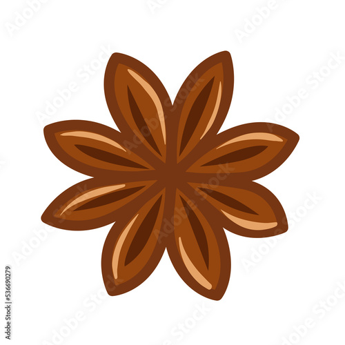 Vector illustration of spices. Dry star anise