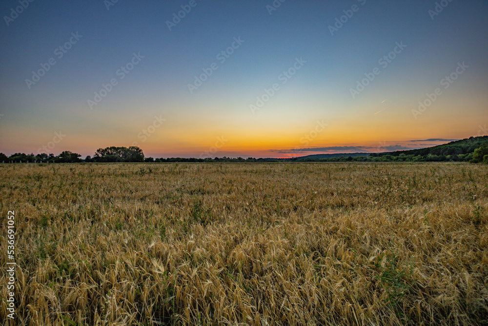 summer landscape in rural areas