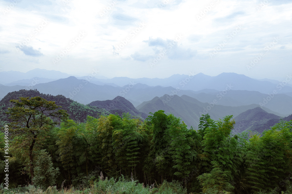 Mountains with bamboo forests in cloudy day Mountains with bamboo forests in cloudy day