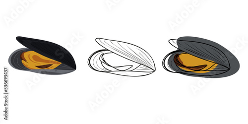 Set of fresh mussels in the shell on a white background. Doodle and flat style. Linear  hand drawn. Vector illustration