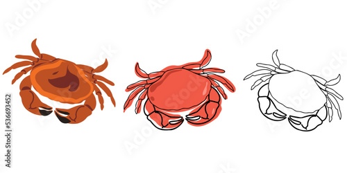 Set of fresh red crab isolated on white background. Doodle and flat style. Linear, hand drawn. Vector illustration