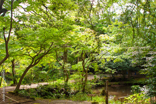 三島市立公園　楽寿園 © SEEIZU