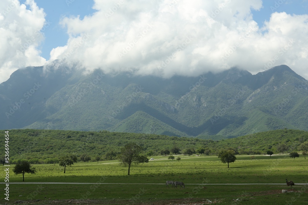 Picturesque view of safari park with animals and mountains