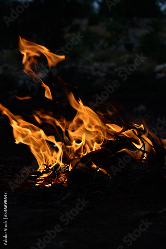 a blazing red fire   camp fire 