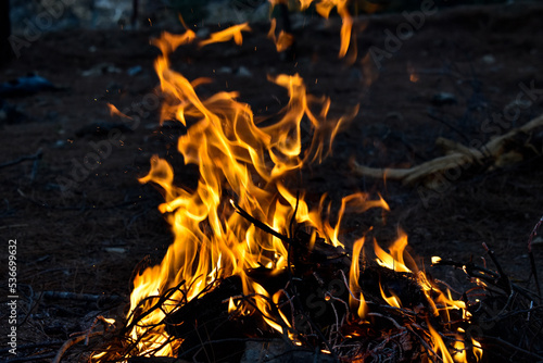 a blazing red fire , camp fire 