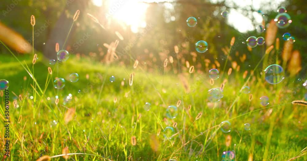 Air bubbles on grass background.