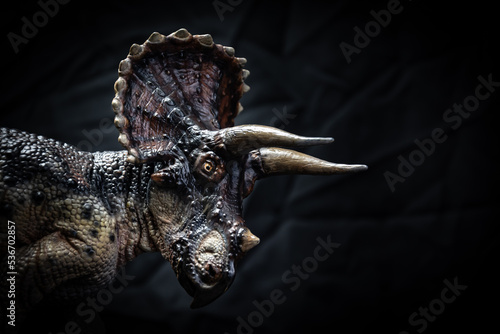 dinosaur , triceratops in the dark