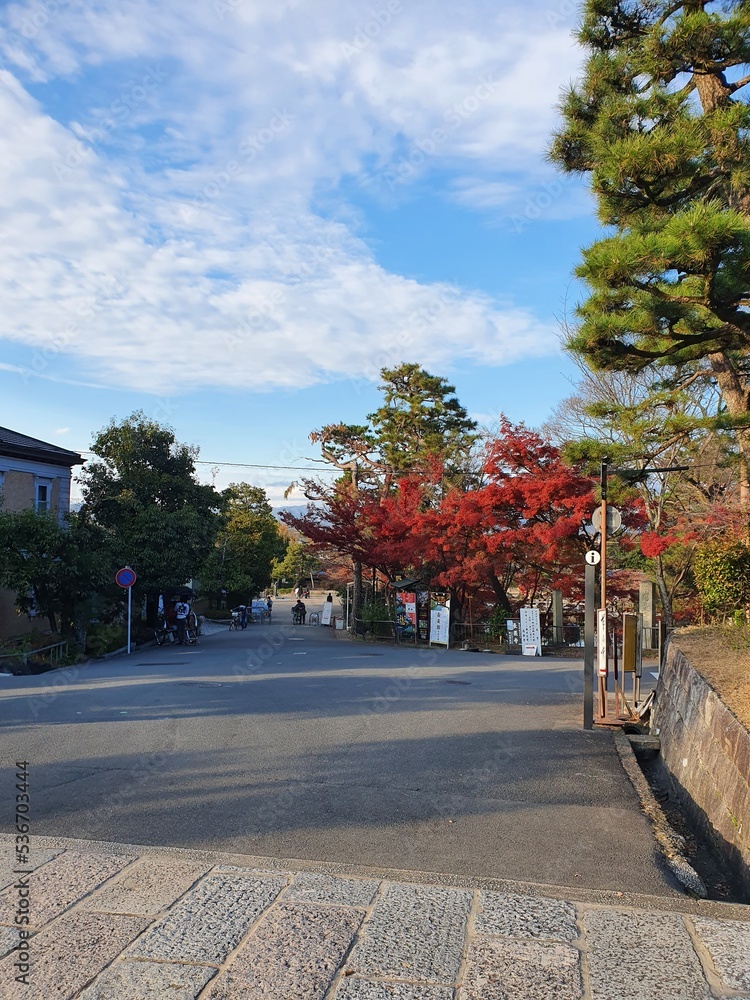 Obraz premium Autumn leave view in Kyoto
