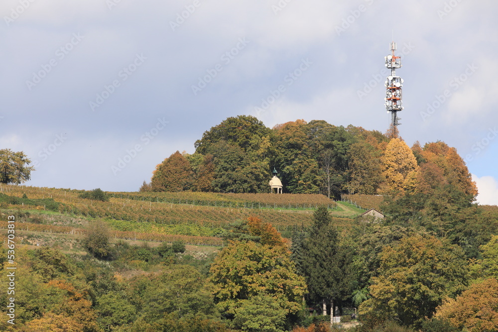 Obraz premium Lindenhain auf dem Schutterlindenberg, Schubertdenkmal