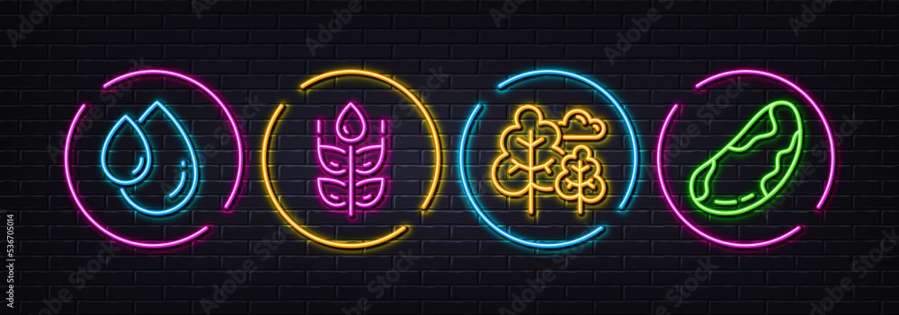 Tree, Gluten free and Oil drop minimal line icons. Neon laser 3d lights. Brazil nut icons. For web, application, printing. Forest plants, Bio ingredients, Serum. Vegetarian. Vector Tree, Gluten free and Oil drop minimal line icons. Neon laser 3d lights. Brazil nut icons. For web, application, printing. Forest plants, Bio ingredients, Serum. Vegetarian. Vector