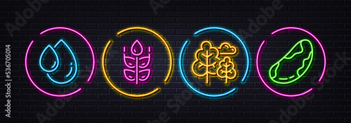 Tree, Gluten free and Oil drop minimal line icons. Neon laser 3d lights. Brazil nut icons. For web, application, printing. Forest plants, Bio ingredients, Serum. Vegetarian. Vector