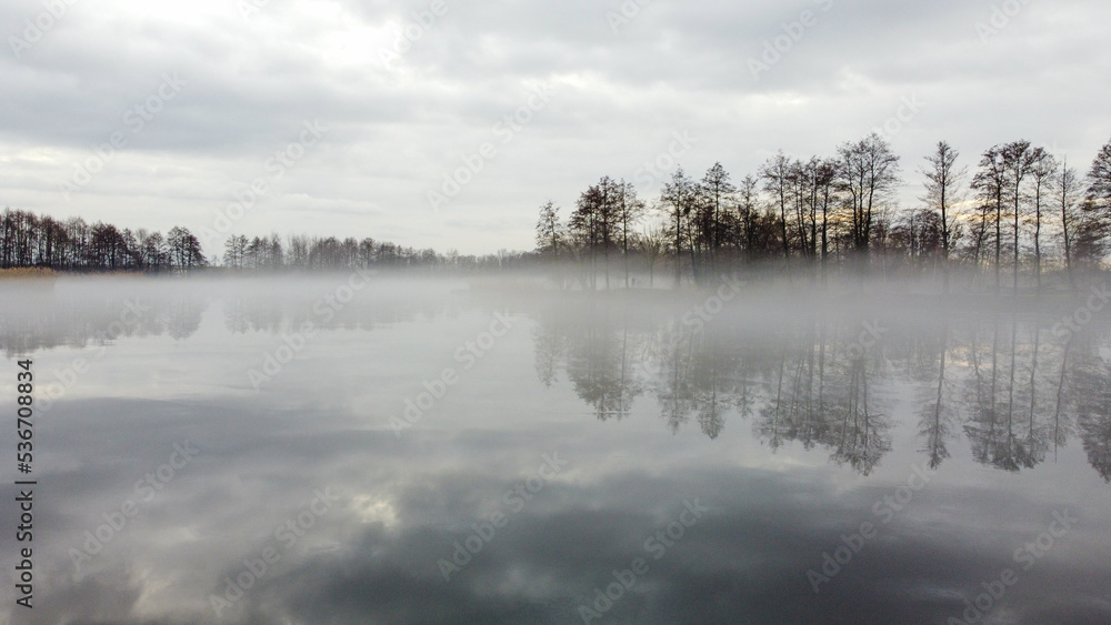Fototapeta premium View of morning lake. Dry trees and yellow grass on the banks. Fog over the lake. Winter