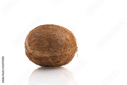 Tropical fruit coconut on white background. summer