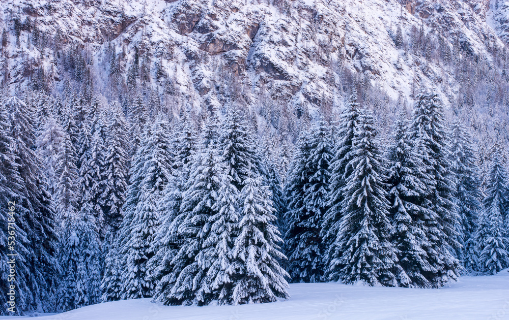 the sun sets over the snowy forest the sun sets over the snowy forest