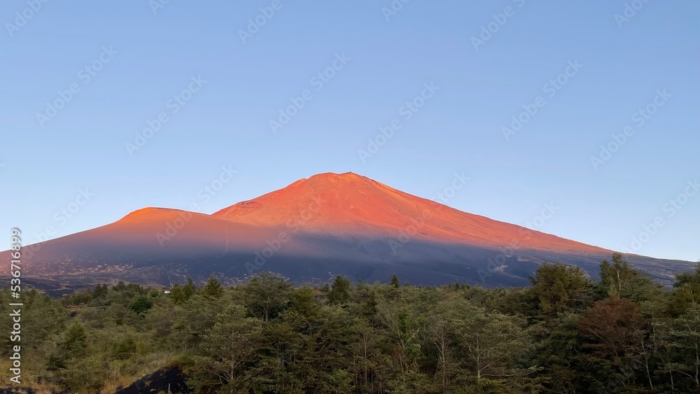 Fototapeta premium soak in the sun