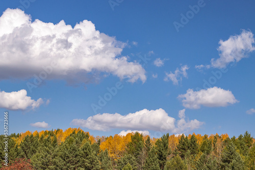 Autumn landscape, trees with yellow leaves against a beautiful blue sky with clouds