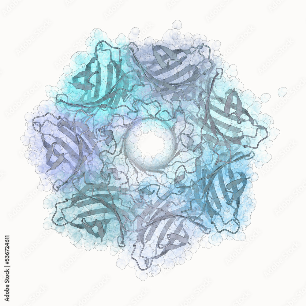 3D structure of a DNA sequencing nanopore protein - alpha-hemolysin ...