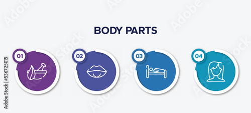 infographic element template with body parts outline icons such as natural herbs and a mortar for healing, female mouth lips, human sleeping on bed, brunette female woman long hair vector.