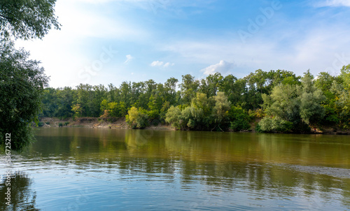 Sunny day on a calm river in summer
