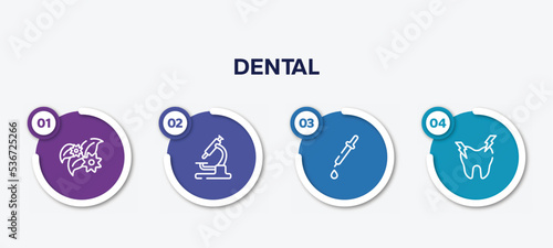 infographic element template with dental outline icons such as flower therapy, lab microscope, medicine dropper, hypersensitive vector.