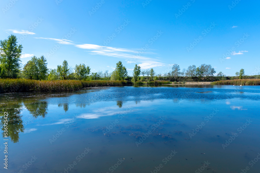 Sunny day on a calm river in summer