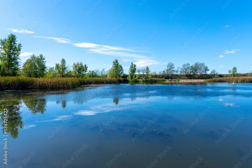 Sunny day on a calm river in summer Sunny day on a calm river in summer