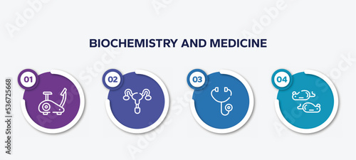 infographic element template with biochemistry and medicine outline icons such as stationary bike, reproductive system, diage, mice vector.