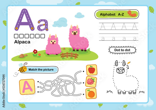 Alphabet Letter A-Alpaca exercise with cartoon vocabulary illustration, vector