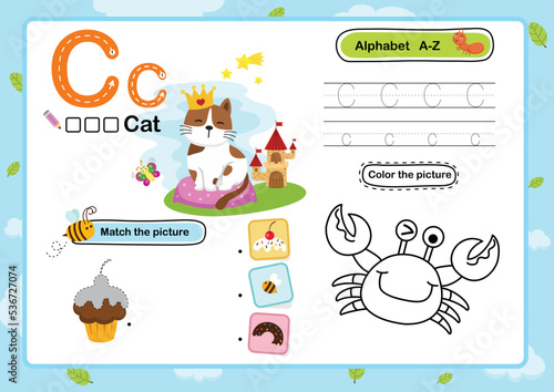 Alphabet Letter C-Cat exercise with cartoon vocabulary illustration, vector