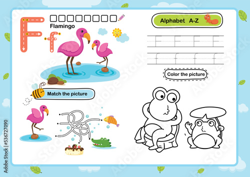 Alphabet Letter F-Flamingo exercise with cartoon vocabulary illustration, vector
