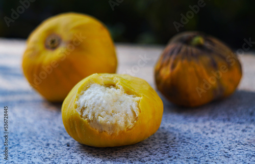 Yellow fig