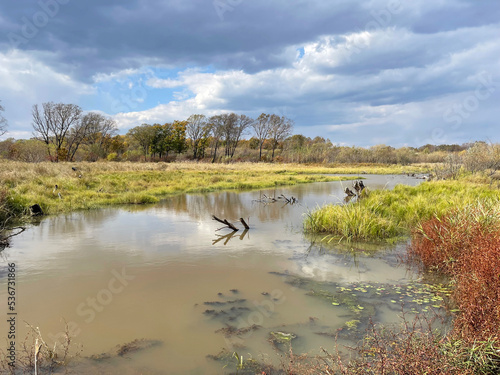 asia, autumn, beautiful, blue, cloudy, day, delta, deserted, district, environment, far east, flooded, floodplain, khanka, khankai, krai, lake, landscape, llavni, long-term, muddy, nature, no one, nob photo