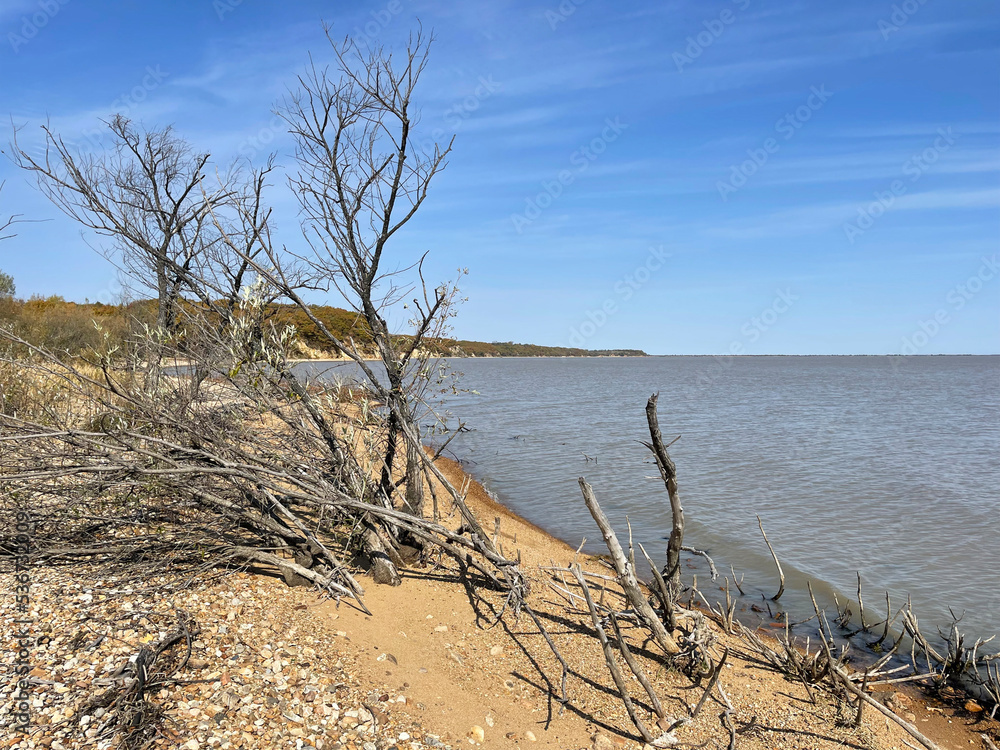 The shore of Lake Khanka on a clear autumn day. Russia, Primorsky Krai