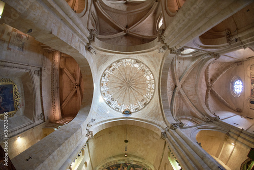 Old Cathedral of Salamanca, Salamanca City, Spain, Europe.