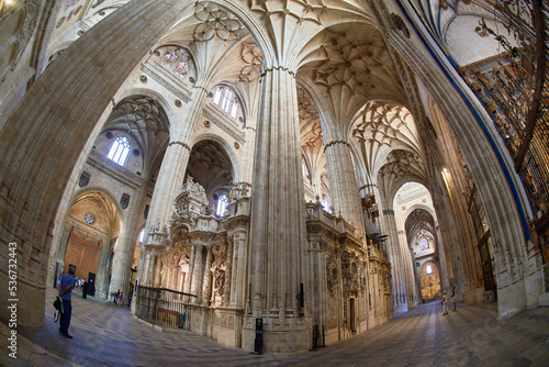 New Cathedral of Salamanca  Salamanca City  Spain  Europe.