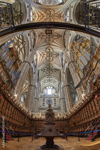 New Cathedral of Salamanca, Salamanca City, Spain, Europe. © Juanma