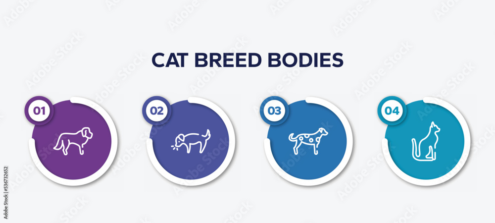 infographic element template with cat breed bodies outline icons such as st bernard, dog smelling dog, dalmatian, egyptian cat vector.