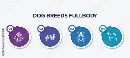 infographic element template with dog breeds fullbody outline icons such as bumblebee, locust, asparagus beetle, airedale vector.