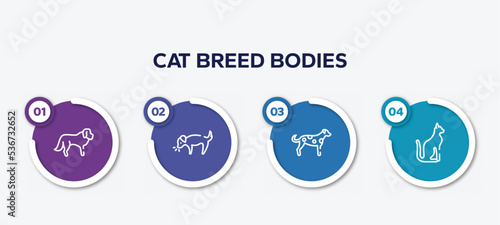 infographic element template with cat breed bodies outline icons such as st bernard, dog smelling dog, dalmatian, egyptian cat vector.
