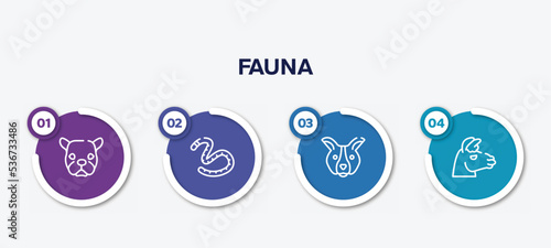 infographic element template with fauna outline icons such as face of staring dog, earth worm, dog face, lama head vector.