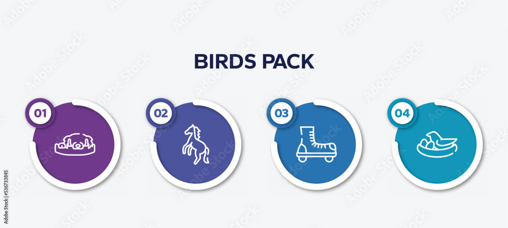 infographic element template with birds pack outline icons such as dog resting, wild horse, roller skate, bird and egg vector.