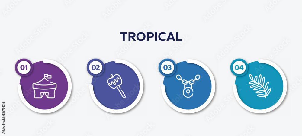 infographic element template with tropical outline icons such as circus, caramel, locks, fern vector.