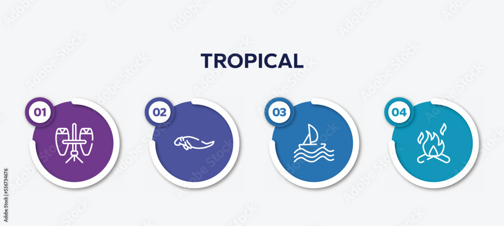 infographic element template with tropical outline icons such as conga, sea cow, sailing, campfire vector.