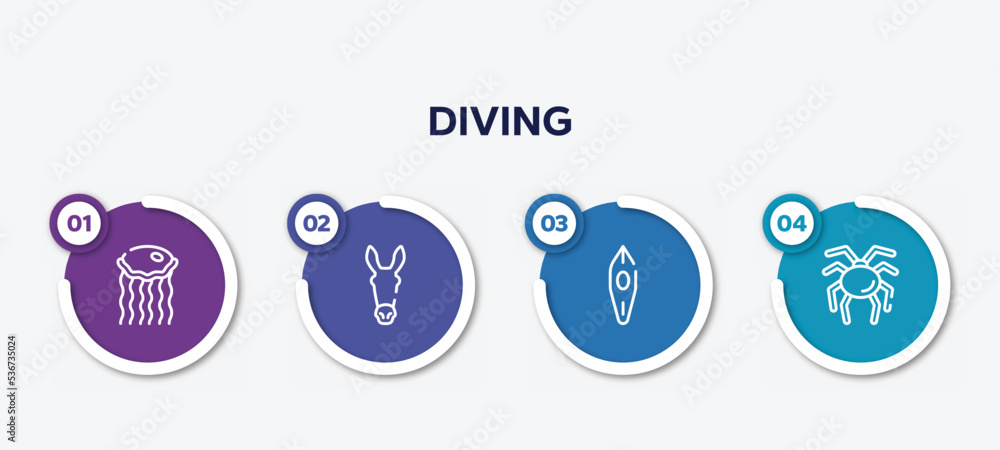 infographic element template with diving outline icons such as medusa, donkey, canoe, null vector.