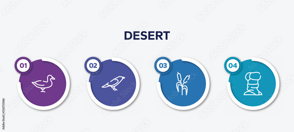 infographic element template with desert outline icons such as duck, crow, bulrush, turban vector.