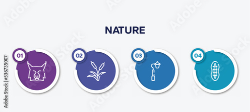 infographic element template with nature outline icons such as lynx, reeds, streetlight, plankton vector.