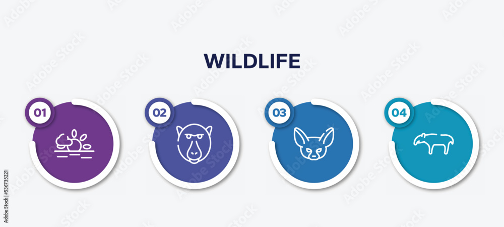 infographic element template with wildlife outline icons such as sun, baboon, fennec, tapir vector.