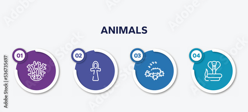 infographic element template with animals outline icons such as coral, ankh, hibernation, cobra vector.