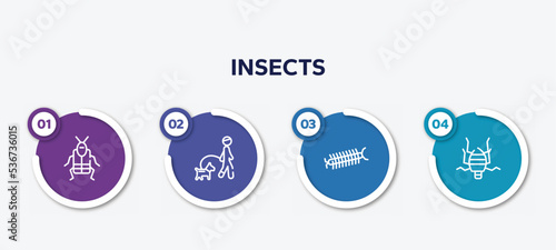 infographic element template with insects outline icons such as crioceris, walking the dog, centipede, bedbug vector.